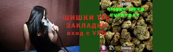 mdma Богородицк